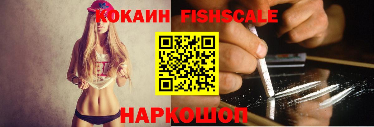 COCAIN Fish Scale Россия