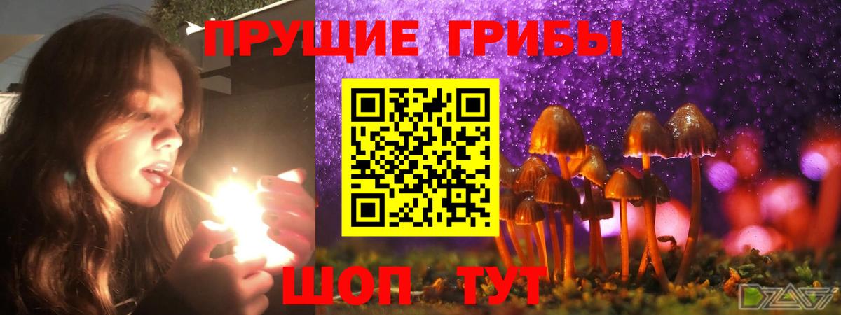 Галлюциногенные грибы MAGIC MUSHROOMS  Галлюциногенные грибы Psilocybe  купить   Вход с VPN  Россия 