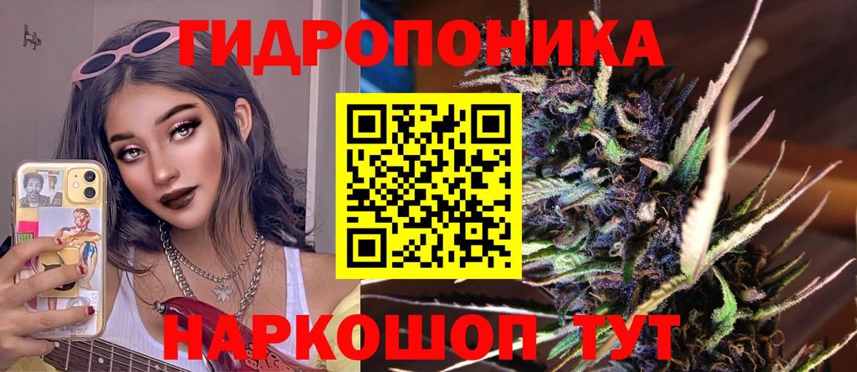 ГАШ Россия